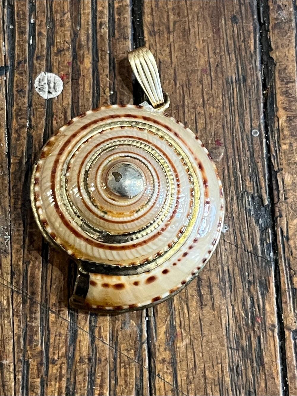 Sundial Shell Cream and Gold Pendant Necklace